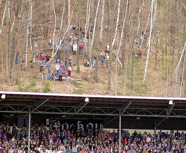 Waldtribüne