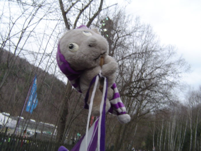 33 da freut sich der Bär