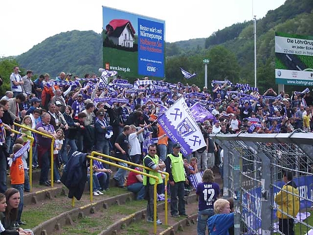 Veilchenblühen in Koblenz