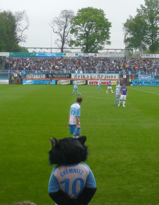 Die Katze beobachtet das Spiel